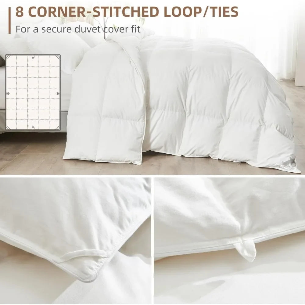 Bed Comforters