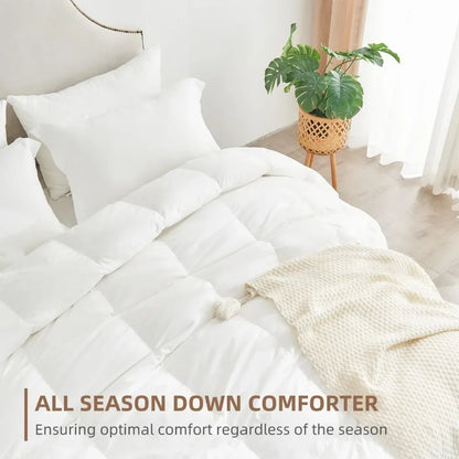 Bed Comforters
