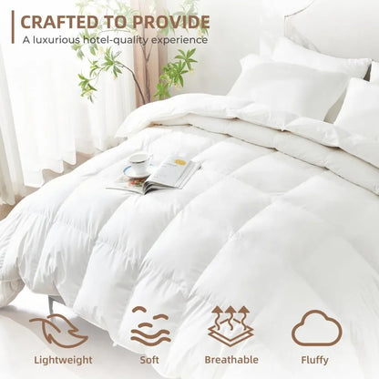 Bed Comforters